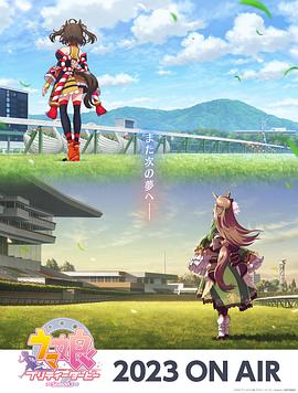 淄博政务seo优化价格